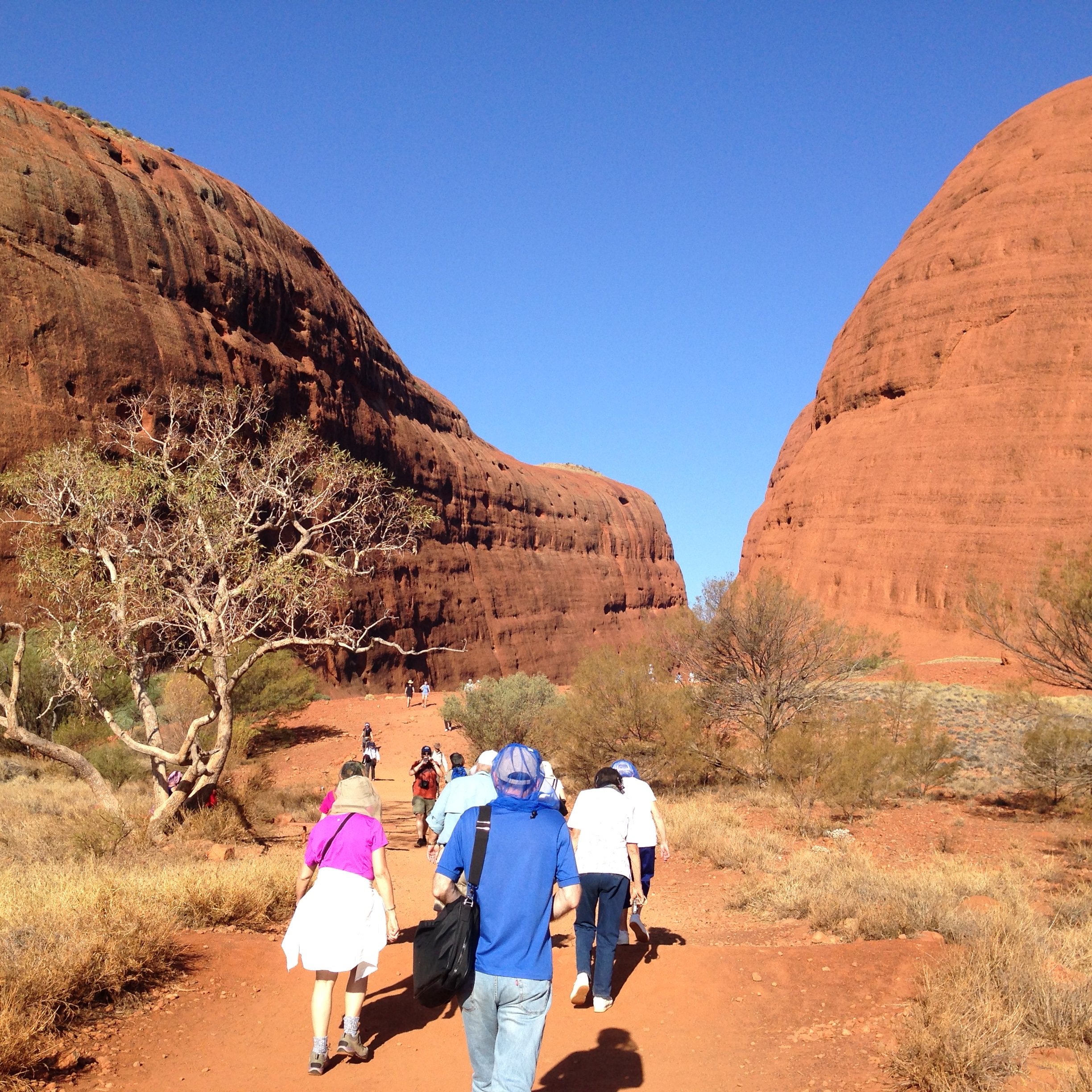 Domes at Uluru