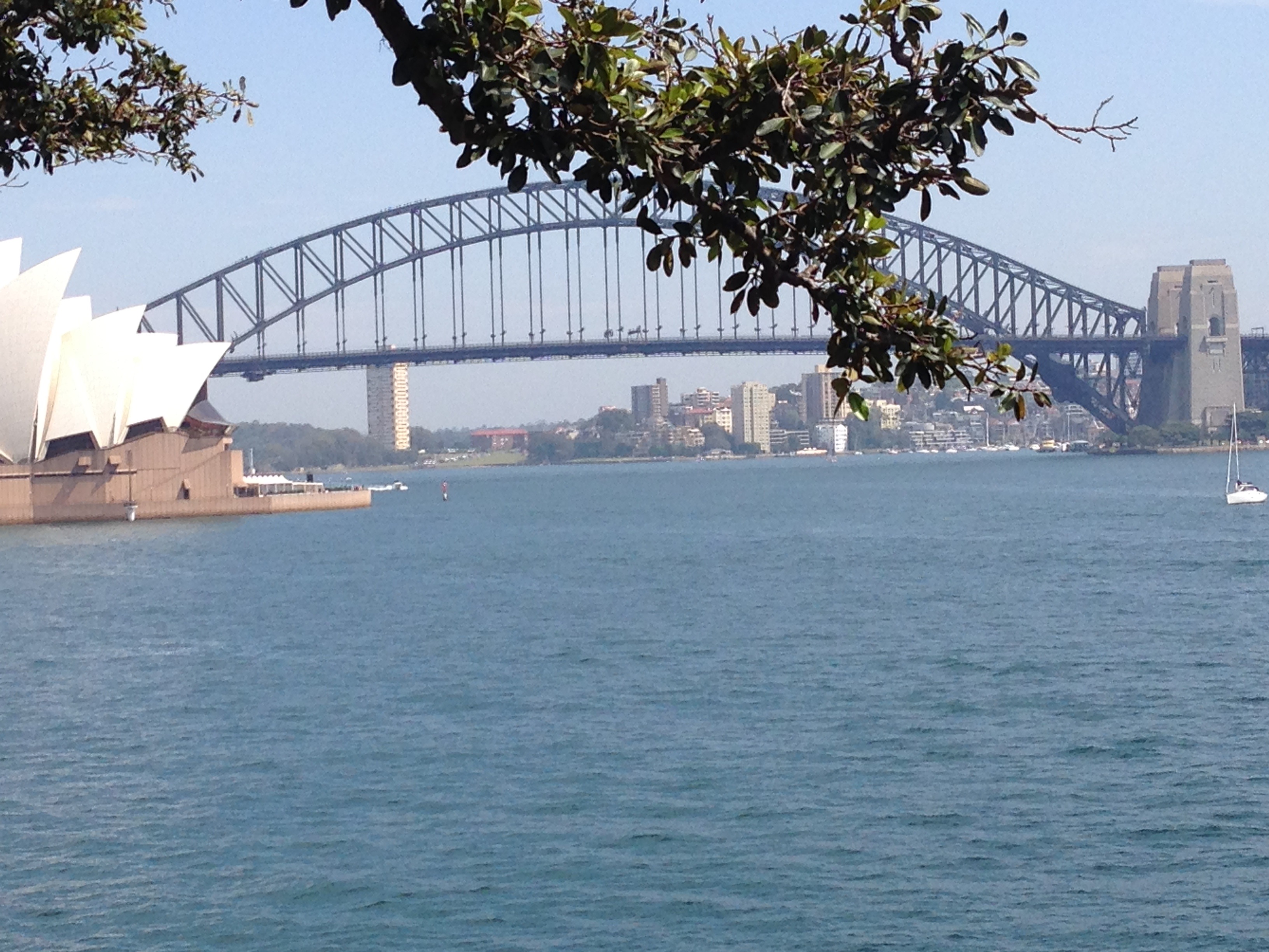 Bridge from Park