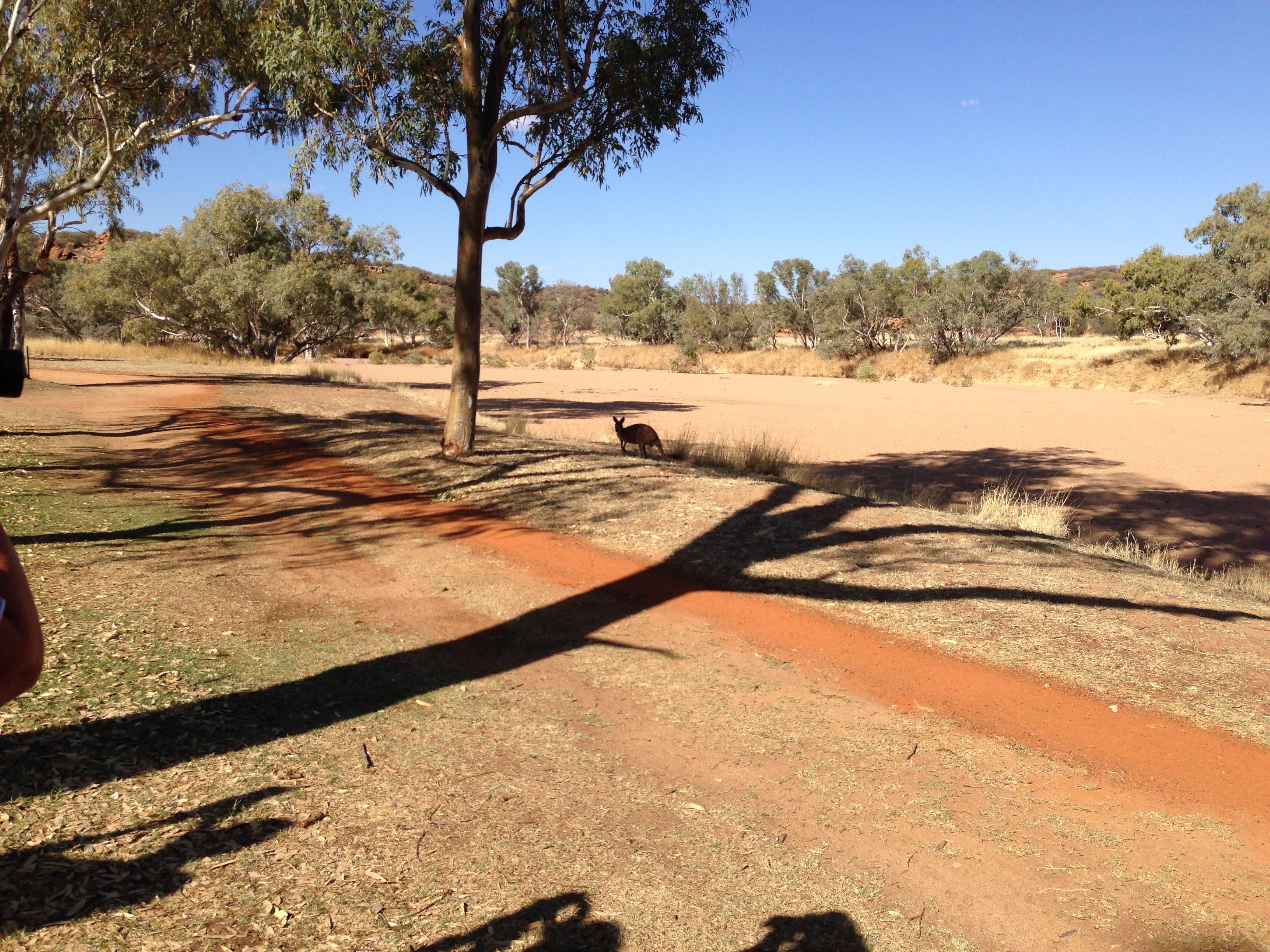 Todd River at Telegraph Station