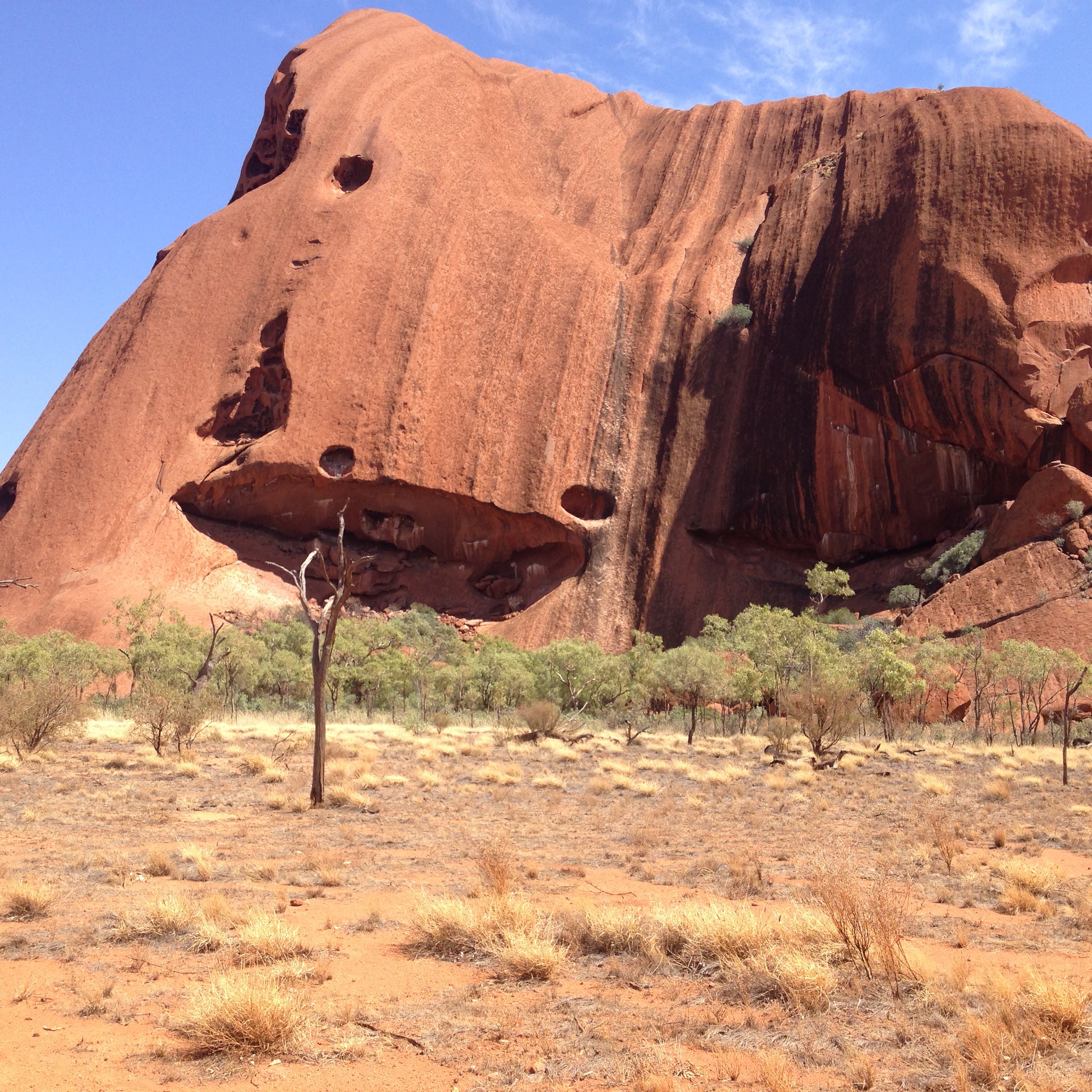 Uluru_1